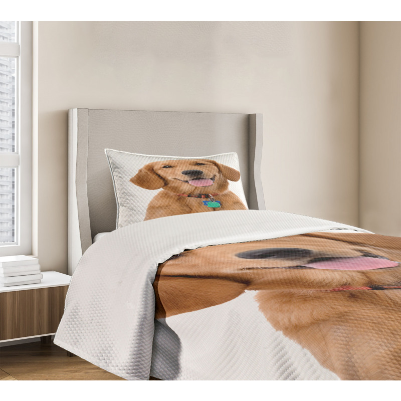 Collar Tags Bedspread Set