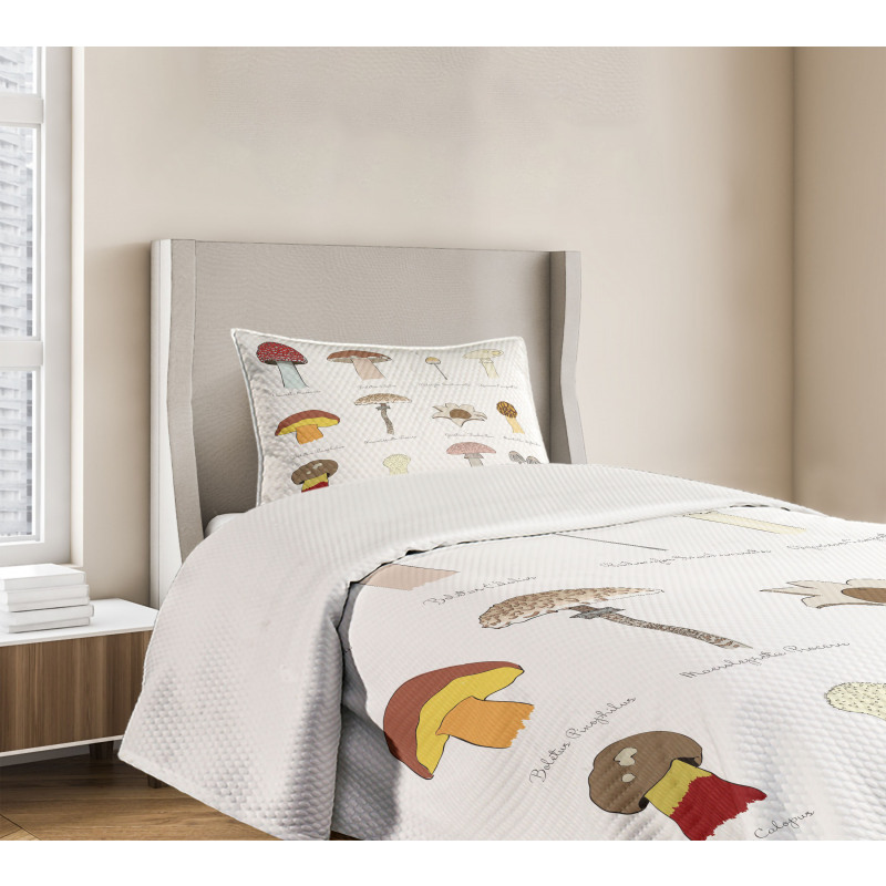 Blusher Boletus Sketch Bedspread Set