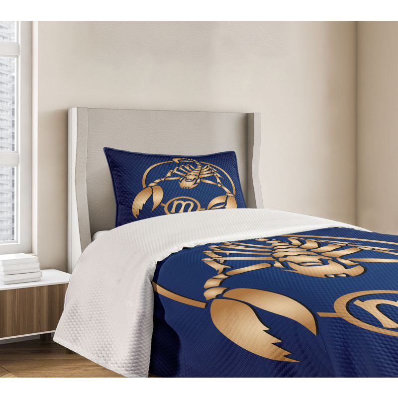 Blue Bedspread Set