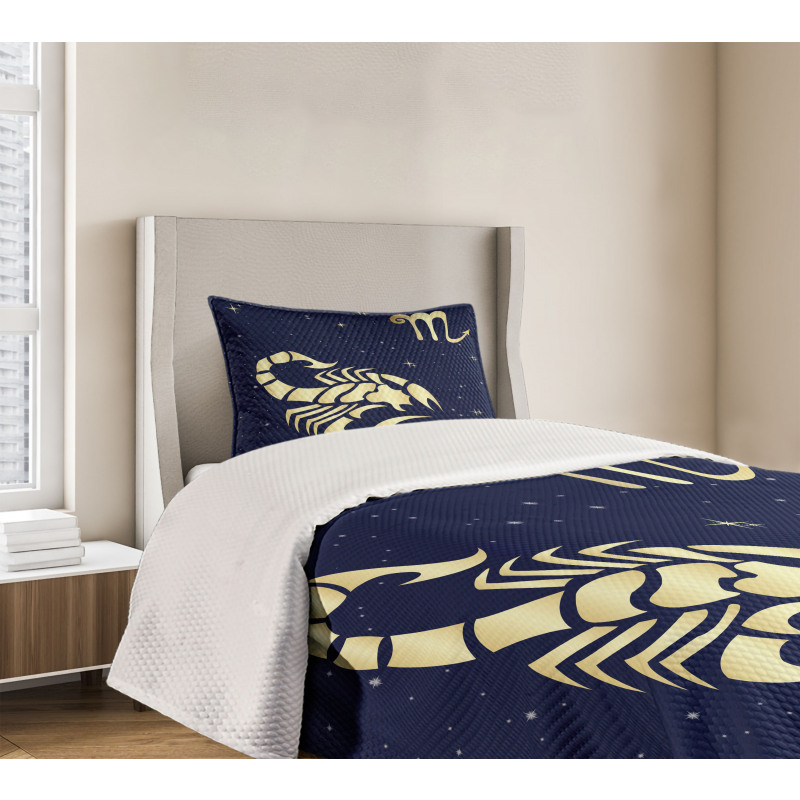 Night Sky Stars Bedspread Set