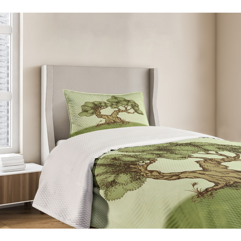 Spring Season Hills Olive Bedspread Set