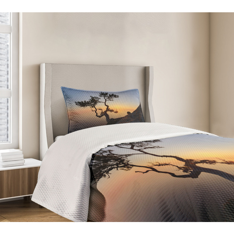 Picturesque Black Sea Bedspread Set