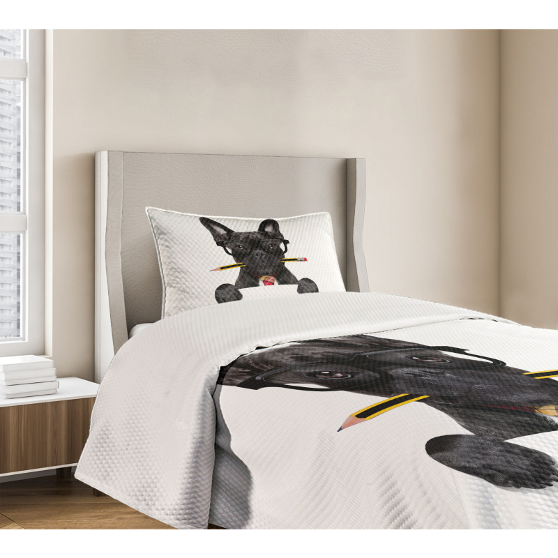 Businessman Dog Glasses Bedspread Set