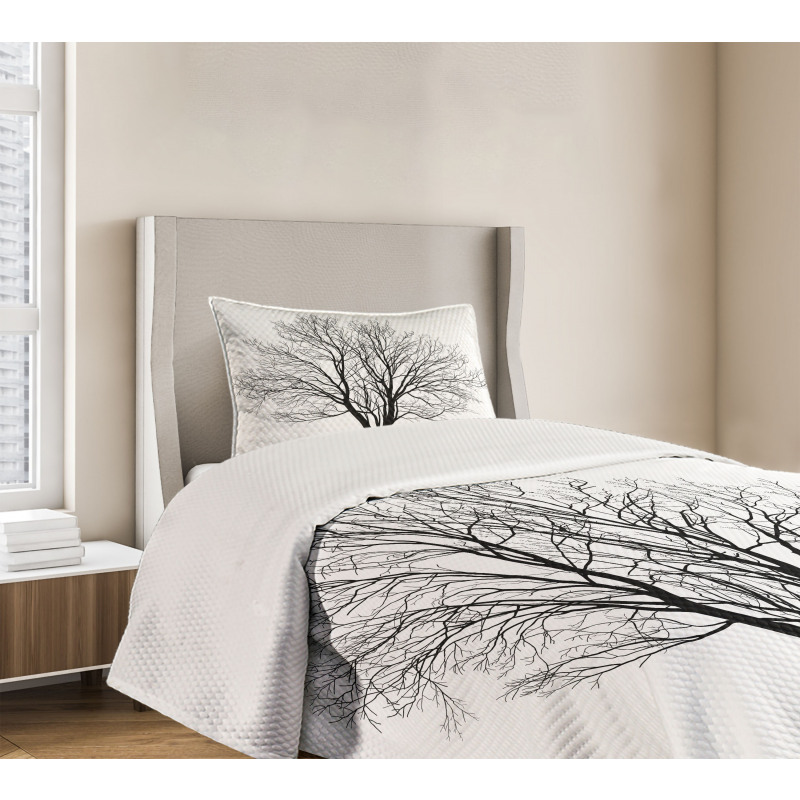 Barren Maple Tree Bedspread Set