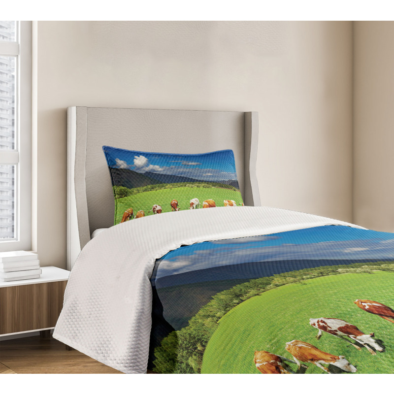 Mountains Grazing Cows Bedspread Set