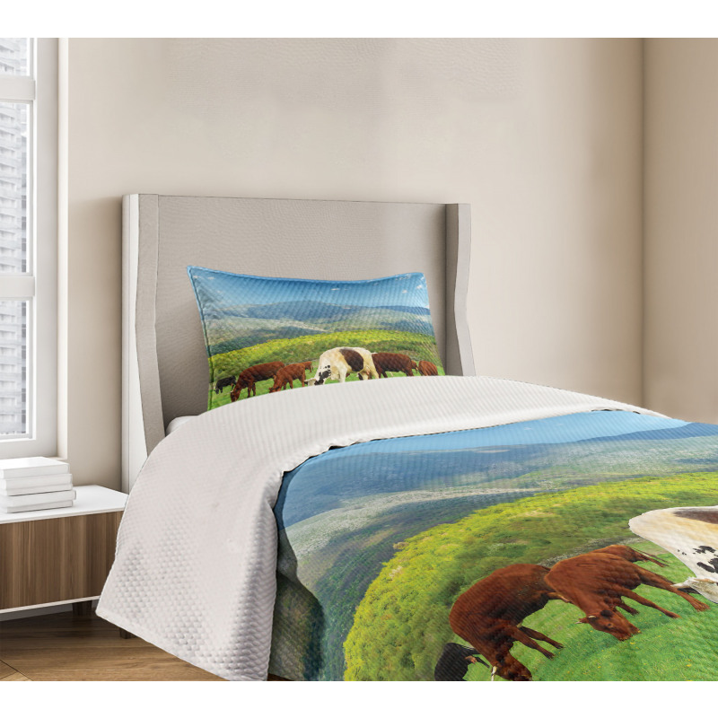 Spring Season Cottage Bedspread Set