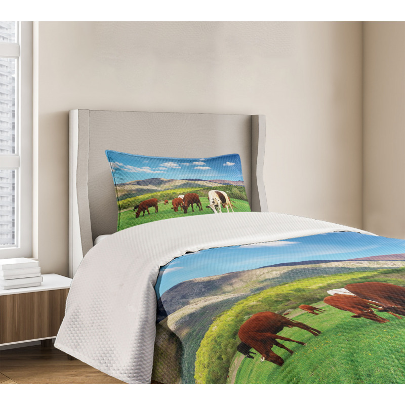 Cow Nature Composition Bedspread Set