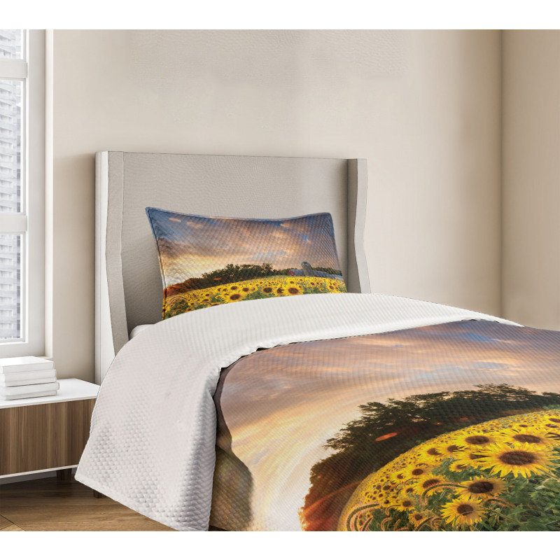 Sunflower Field Sky Bedspread Set