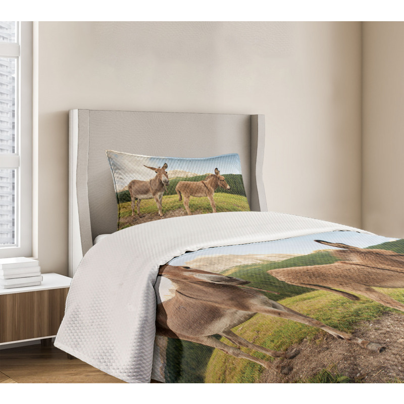 Dolomites Italy Countryside Bedspread Set