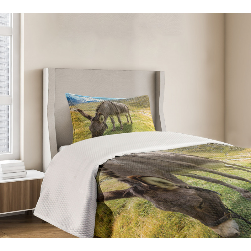 Donkey Eating Grass Mountain Bedspread Set