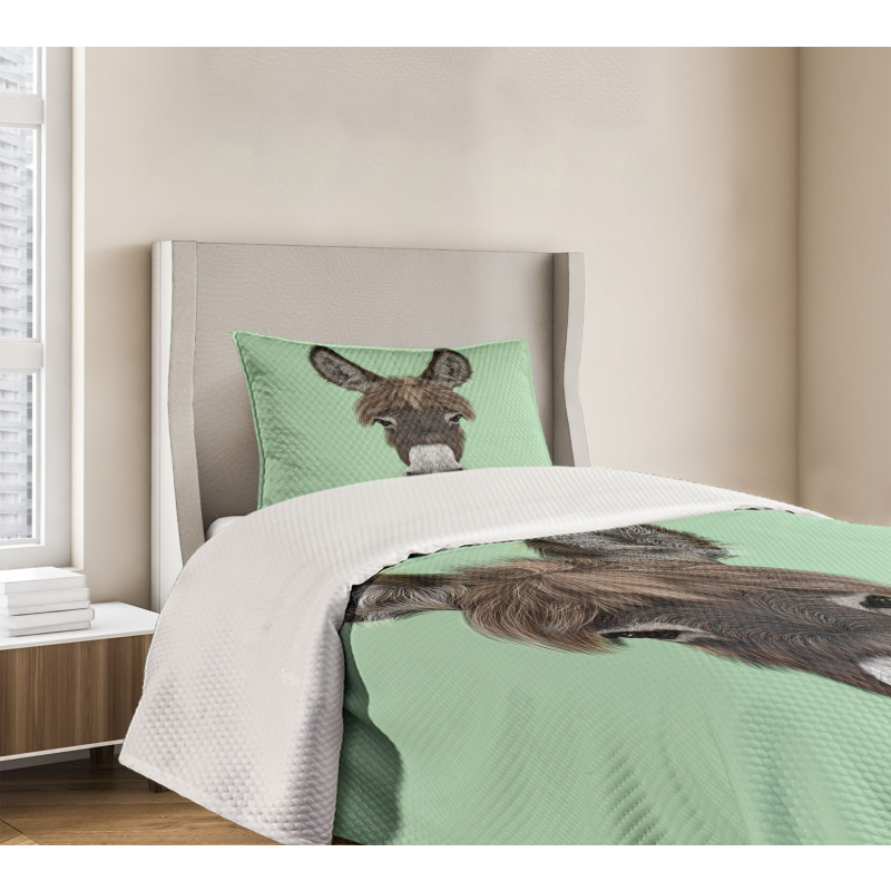 Illustrated Animal Portrait Bedspread Set