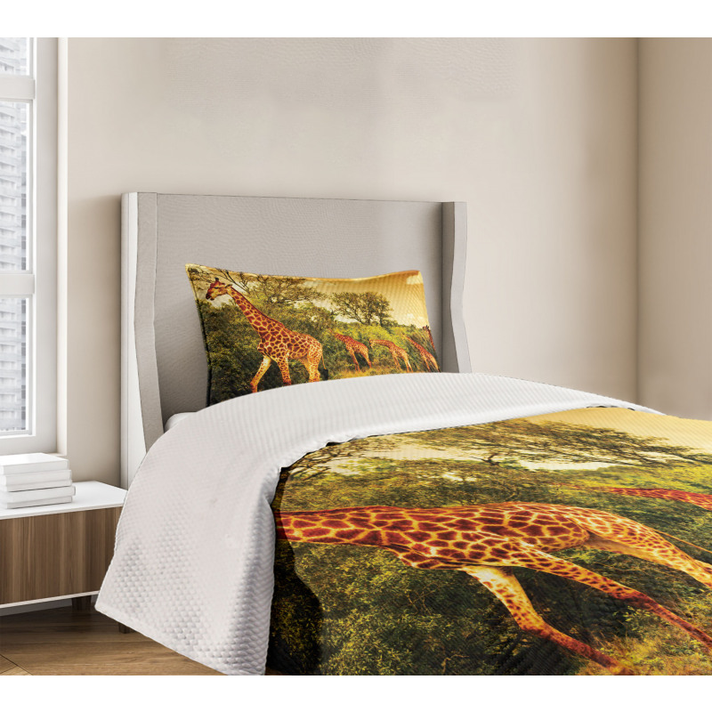 Safari Animals Bedspread Set