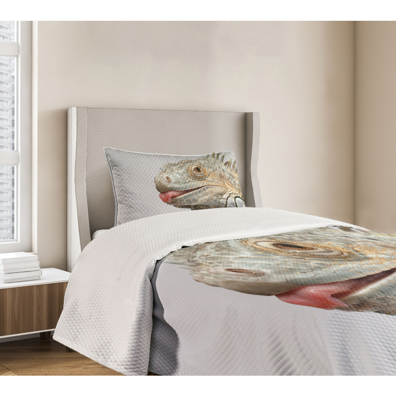 Nature Photography Realistic Bedspread Set