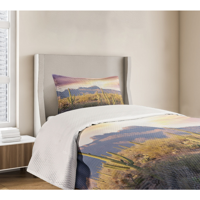 Saguaro Cactus and Mountain Bedspread Set