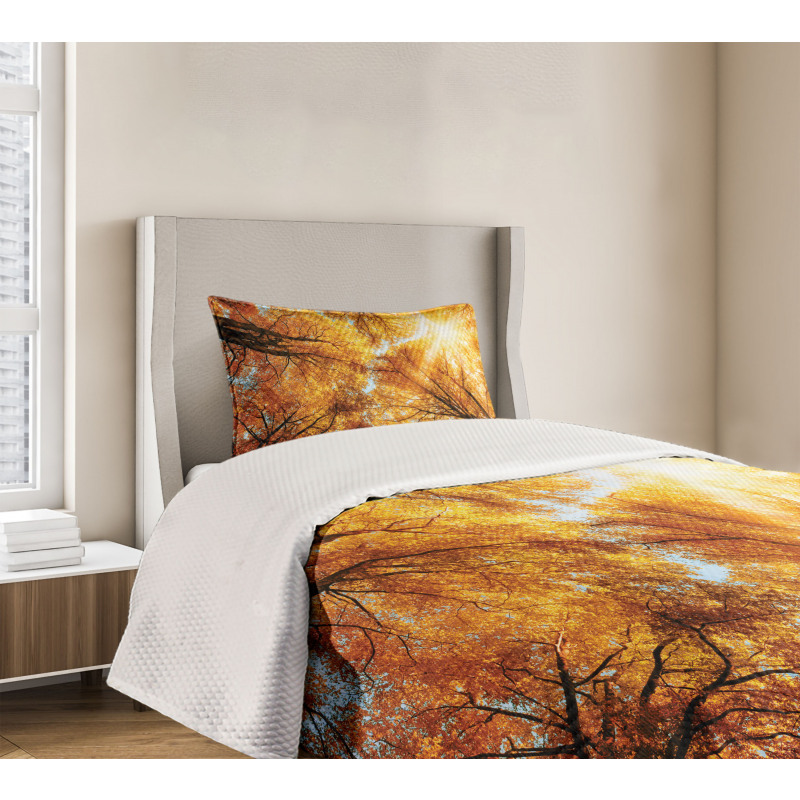 Autumn Sunbeams Forest Bedspread Set