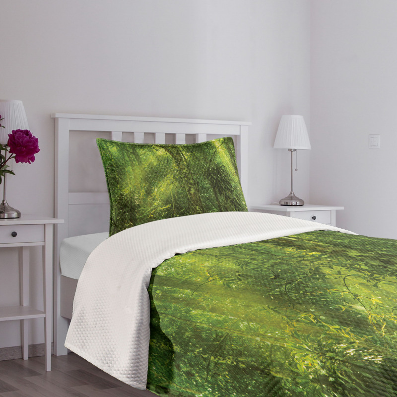 Sun Beams Tropic Forest Bedspread Set