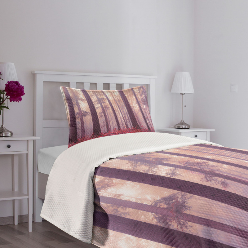 Trees Foggy Sunlight Bedspread Set