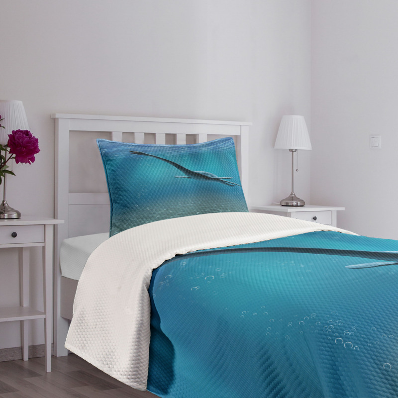 Aquatic Dinosaur Bedspread Set