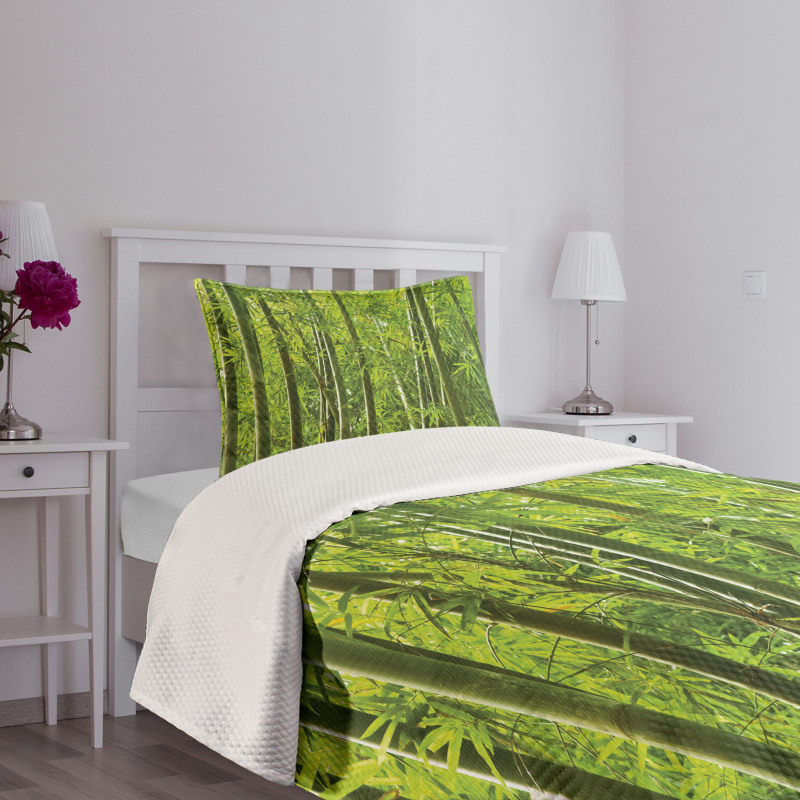 Exotic Tropical Bamboo Bedspread Set