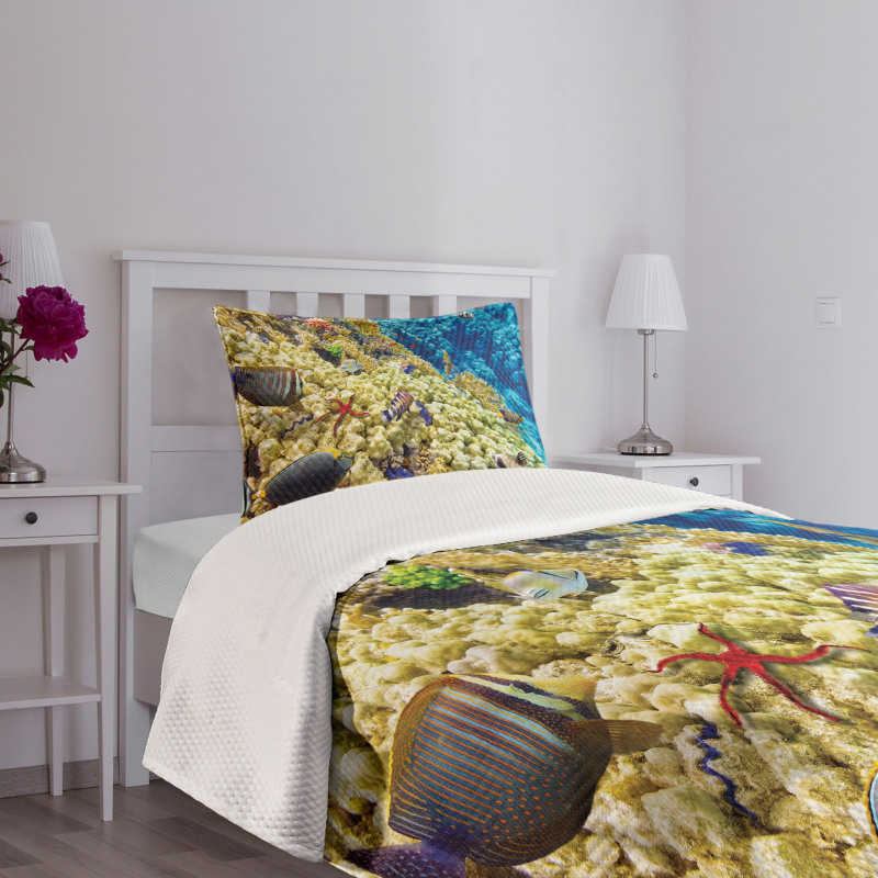 Sea Exotic Natural View Bedspread Set