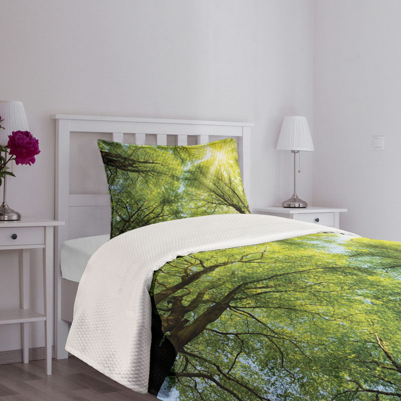 Romantic Beech Trees Bedspread Set