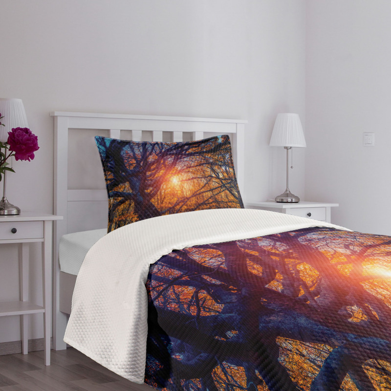 Majestic Trees Woods Bedspread Set