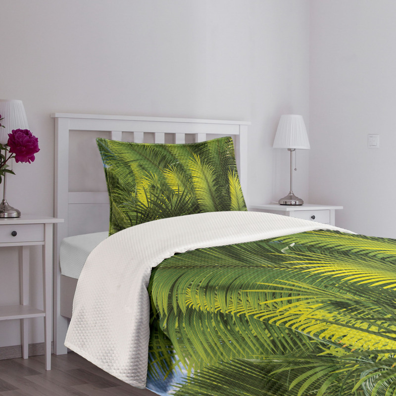 Palm Trees Exotic Bedspread Set