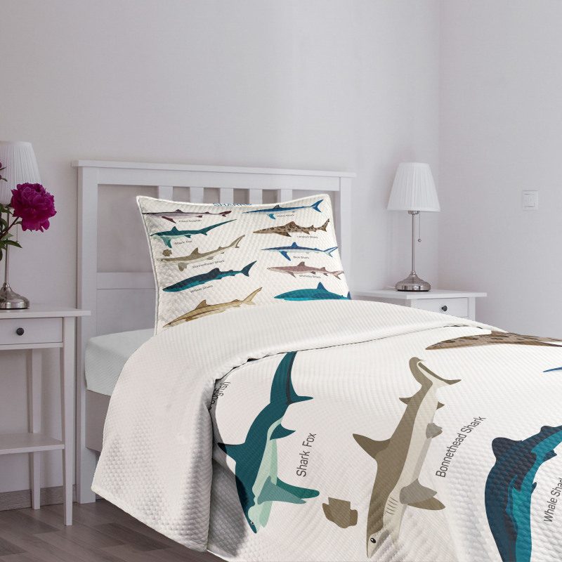 Cartoon Shark Types Wild Bedspread Set