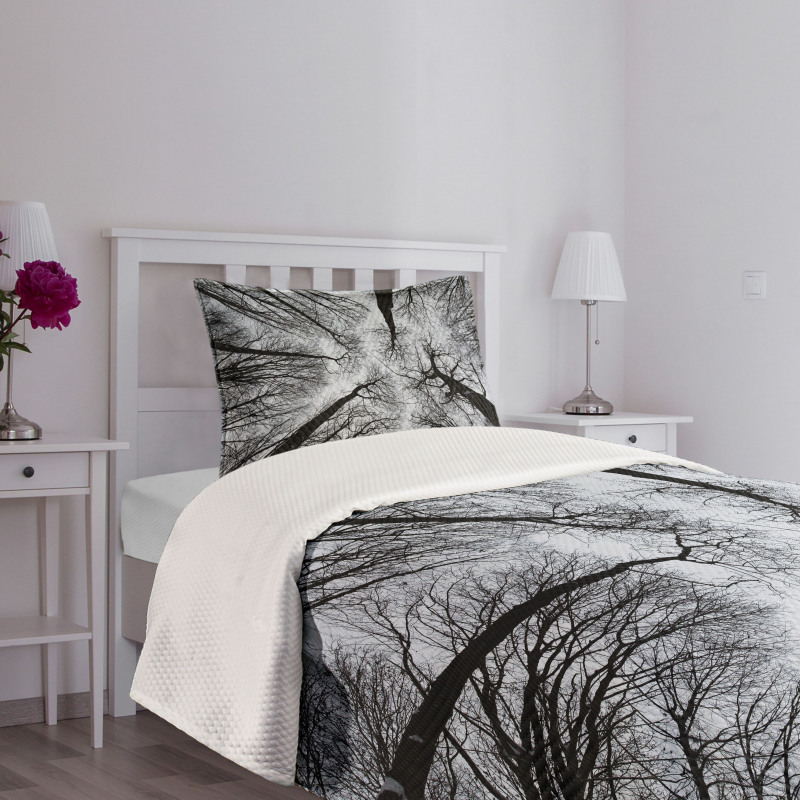 Dark Winter Forest Tree Bedspread Set