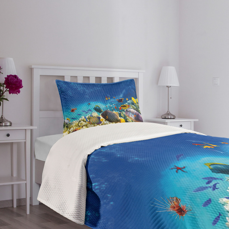 Ocean Animals Bedspread Set