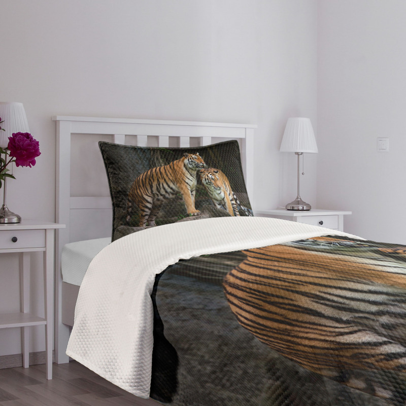 Tiger Couple in Jungle Bedspread Set