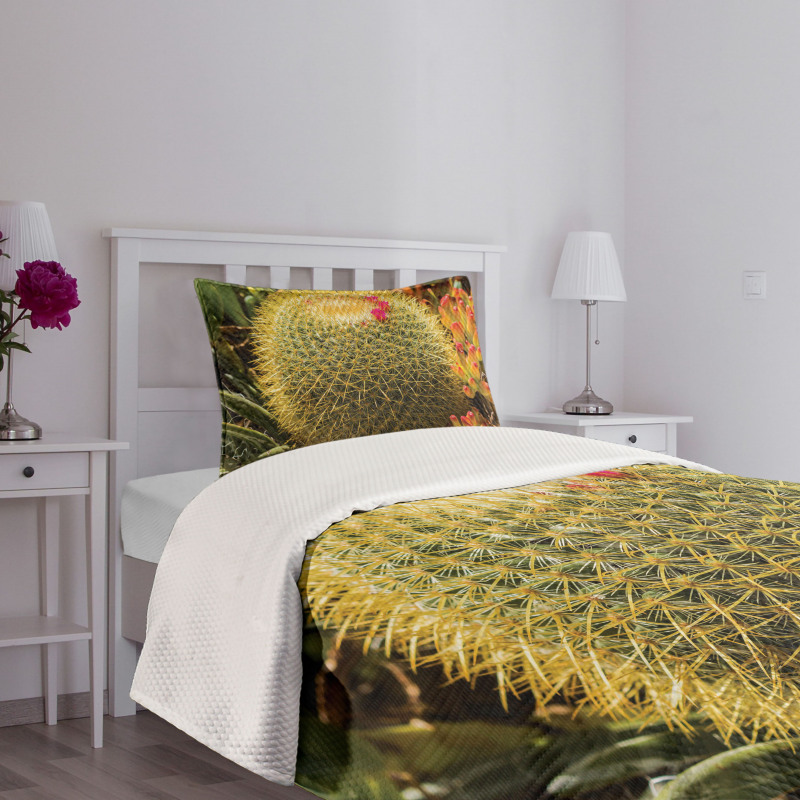 Cactus Plant with Spikes Bedspread Set