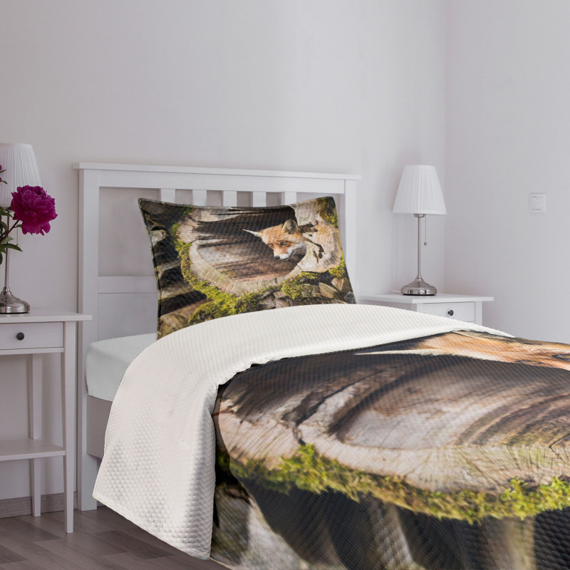 Nature Wild Fox Forest Bedspread Set