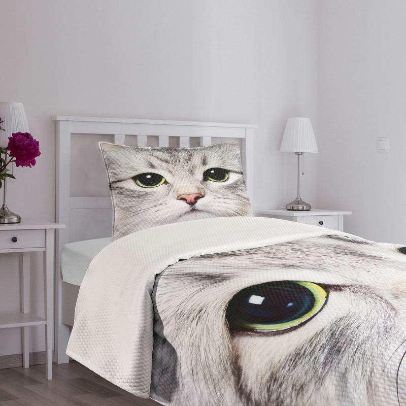 Face of a Domestic Kitty Bedspread Set