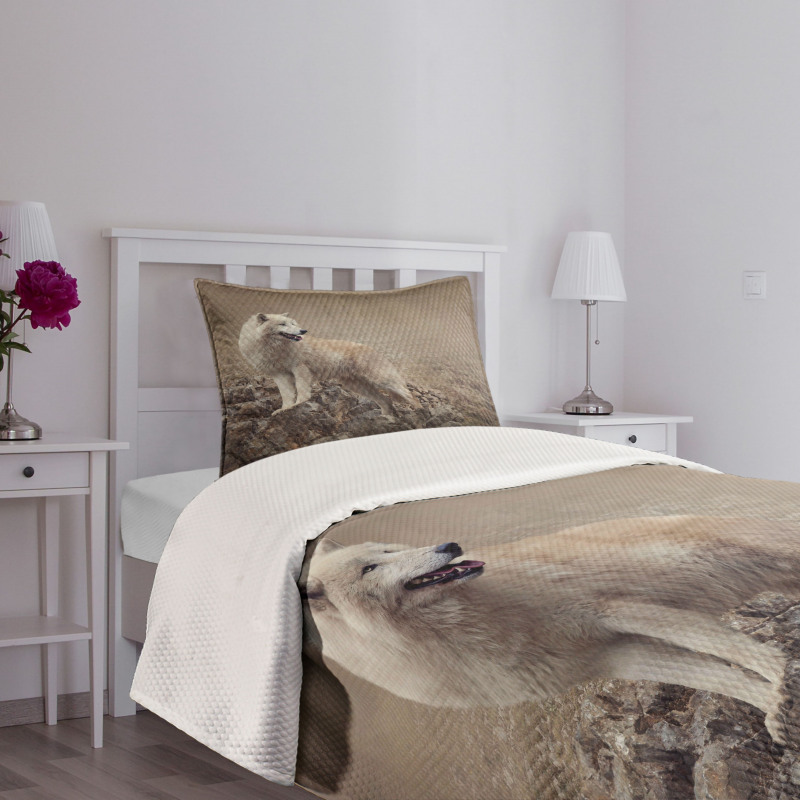 White Wolf on the Rocks Bedspread Set