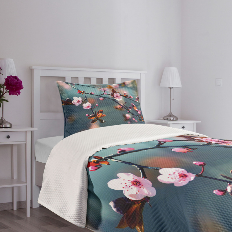 Blooming Sakura Flowers Bedspread Set