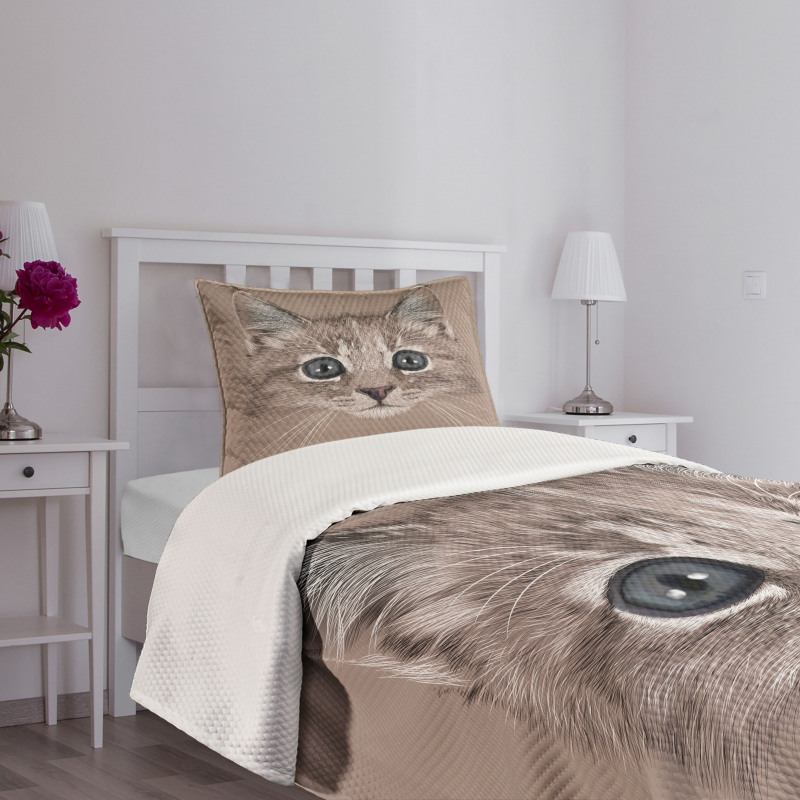 Domestic Cat Face Bedspread Set