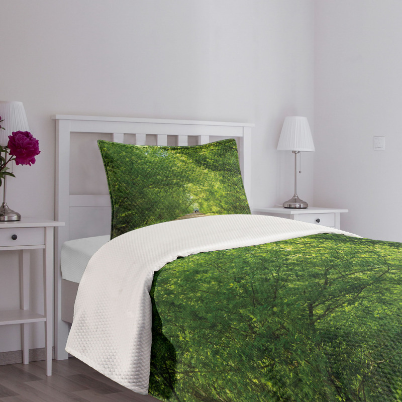 Fresh Canopy Forest Bedspread Set
