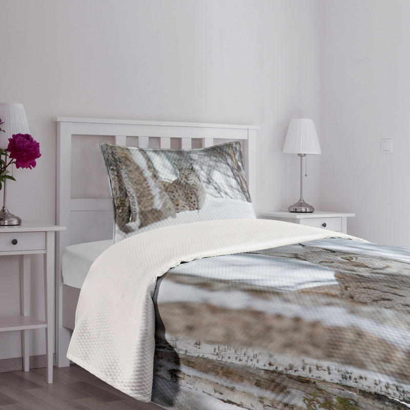 European Lynx Wilderness Bedspread Set