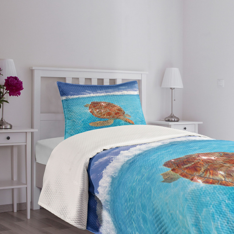 Chelonia Water Surface Bedspread Set