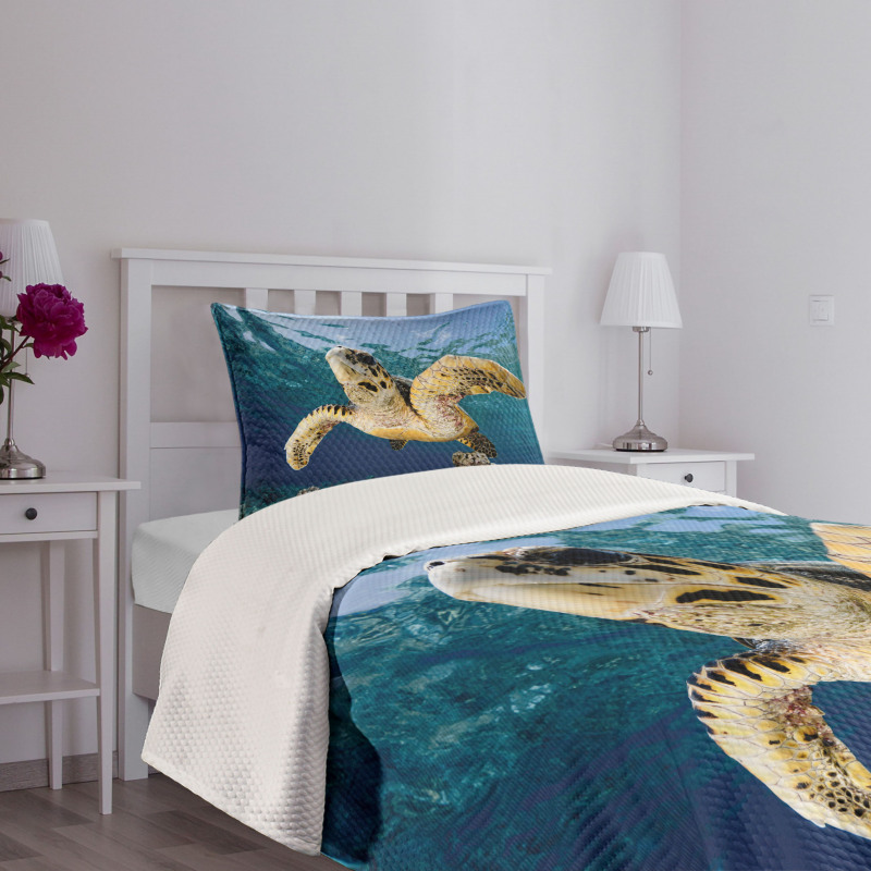 Hawksbill Sea Turtle Bedspread Set