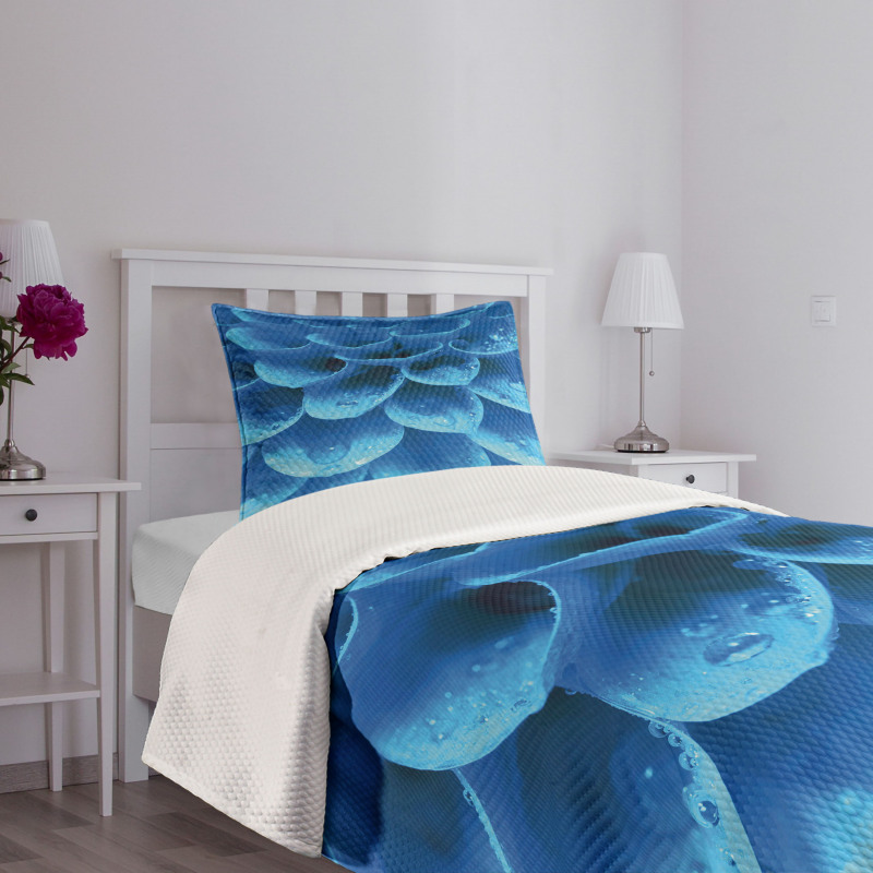 Gerbera Abstract Petals Bedspread Set