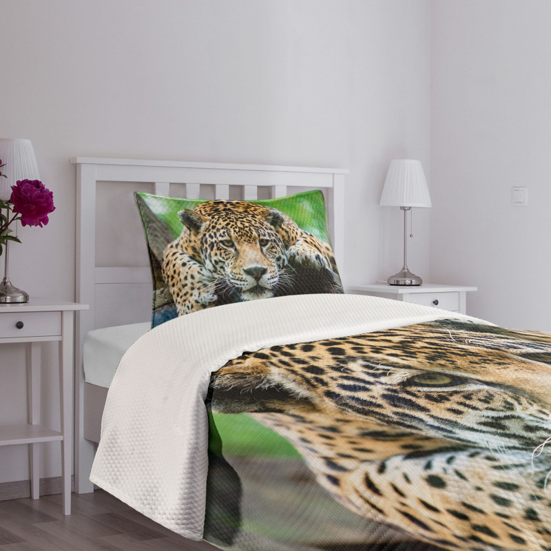 Jaguar Wildcat Feline Bedspread Set