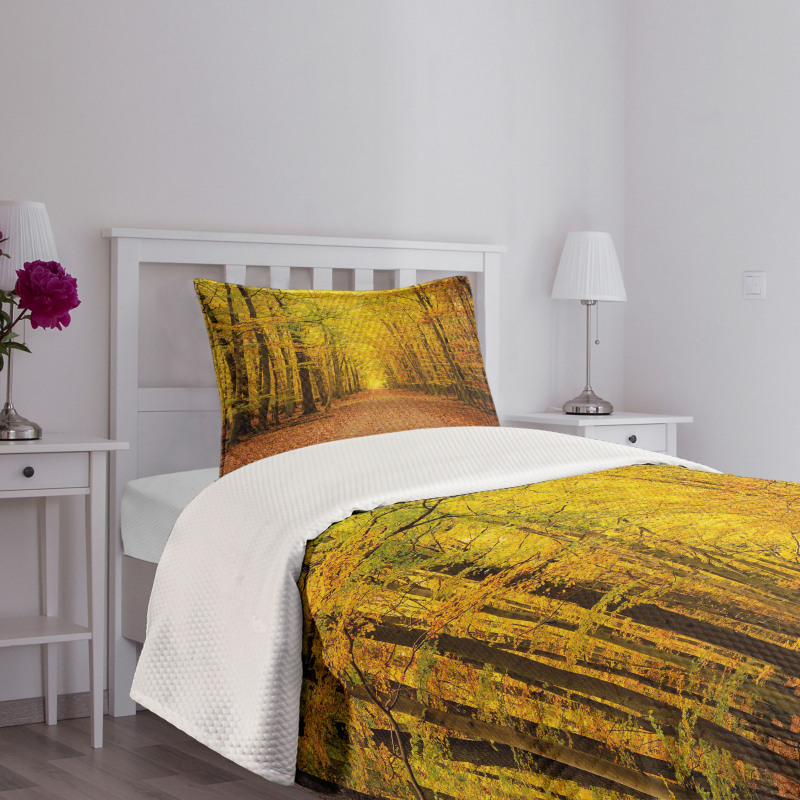 Seasonal Scenic Park Bedspread Set