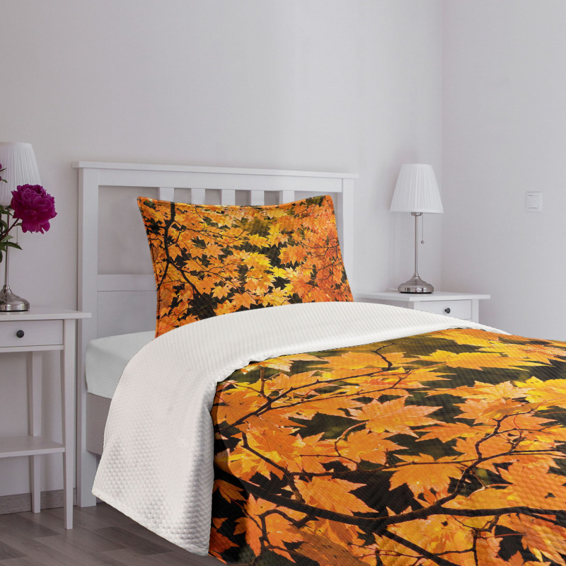 Vivid Autumn Maple Leaves Bedspread Set