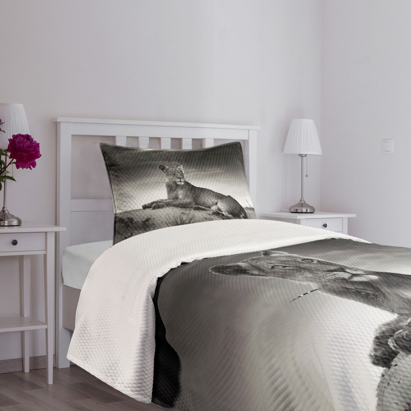 Wild Lioness Bedspread Set