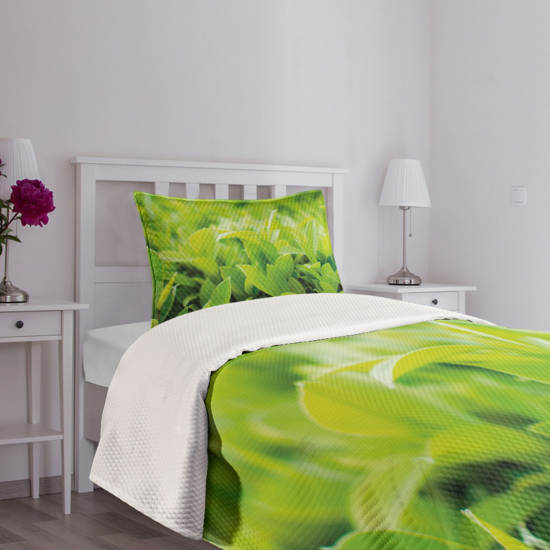 Lush Green Leaves Bedspread Set