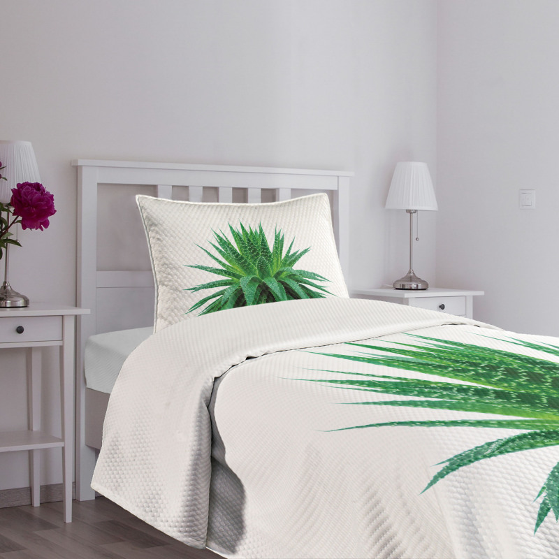 Vibrant Aloe Vera Bedspread Set