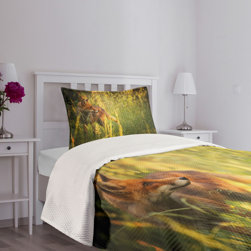 Vixen Mammal Summer Forest Bedspread Set