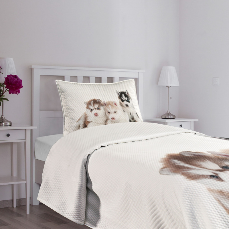 Puppy Friends Bedspread Set